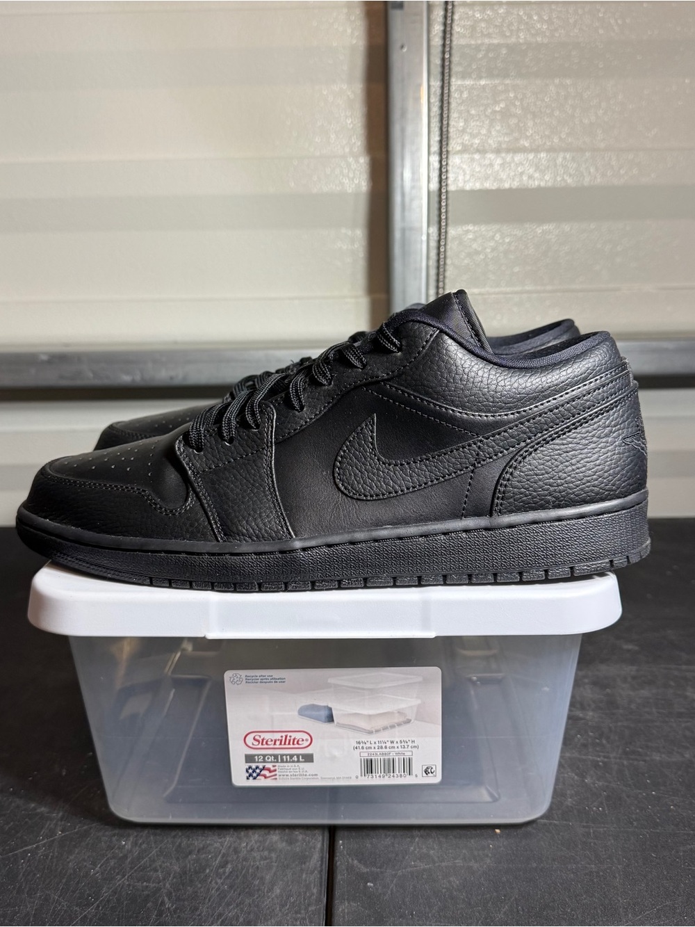Size 12 - AJ 1 Low Back